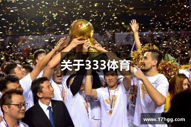 关于333体育